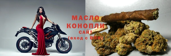 стаф Магас
