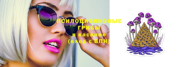 ПСИЛОЦИБИНОВЫЕ ГРИБЫ Володарск