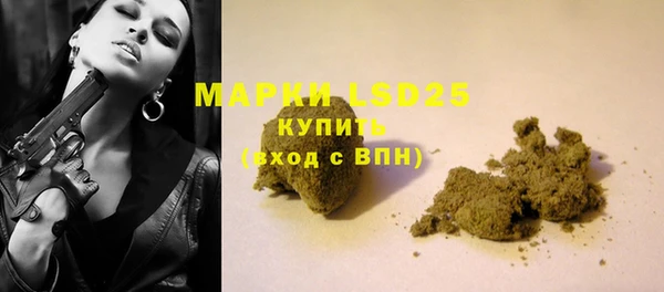 стаф Магас