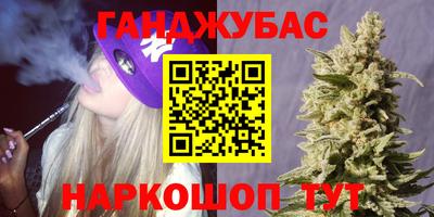 гашик Бийск