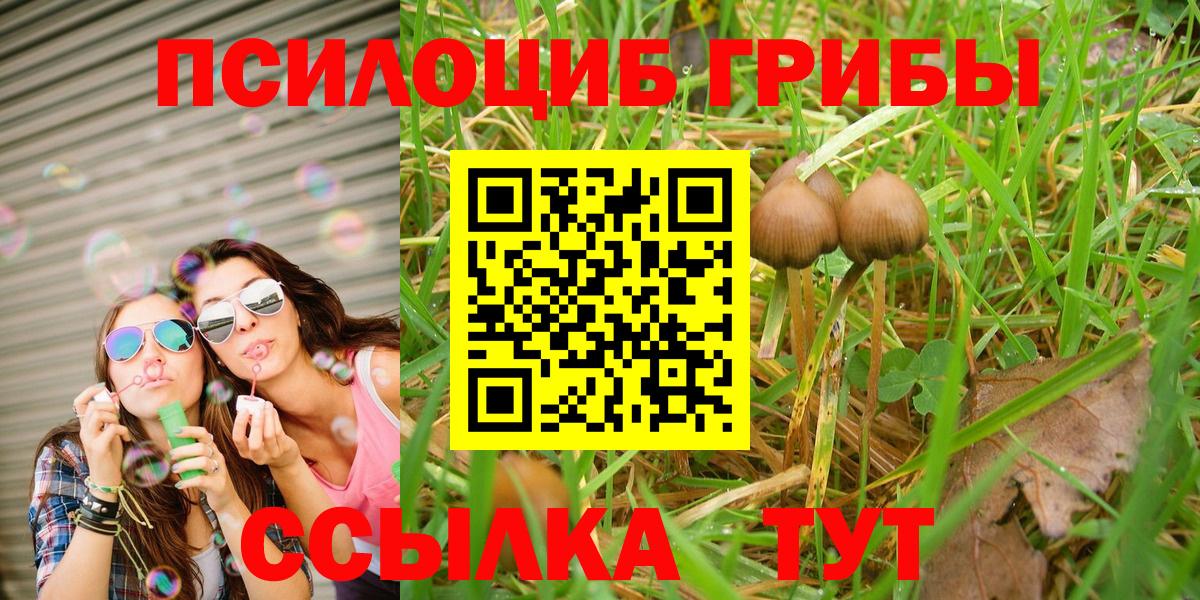 Псилоцибиновые грибы прущие грибы  Воткинск 
